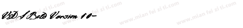 VDS Bold Version 10字体转换